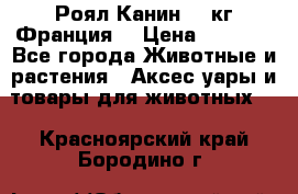  Роял Канин 20 кг Франция! › Цена ­ 3 520 - Все города Животные и растения » Аксесcуары и товары для животных   . Красноярский край,Бородино г.